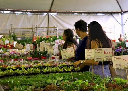 EXPOSIÇÃO DE FLORES EM DOURADOS ARRECADA FUNDOS PARA A REDE FEMININA DE COMBATE AO CÂNCER