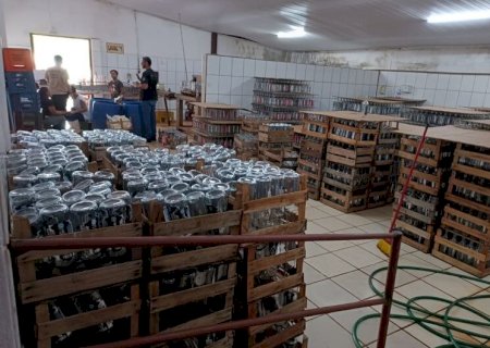 AÇÃO CONJUNTA INTERDITA FÁBRICA CLANDESTINA DE BEBIDAS