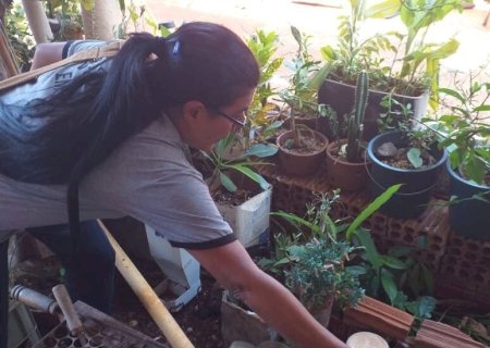 PREFEITURA DE DOURADOS REGISTRA QUEDA DE 41% NAS NOTIFICAÇÕES DE DENGUE EM 2025
