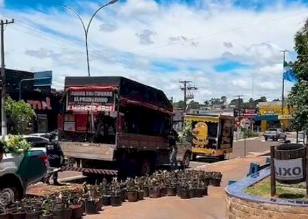 SINDICATO REBATE PREFEITO QUE XINGOU AGENTES DURANTE APREENSÃO DE MUDAS FRUTÍFERAS