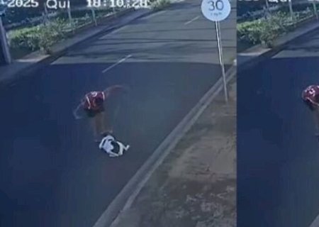 CACHORRO É ARRASTADO E AGREDIDO POR HOMEM DURANTE PASSEIO