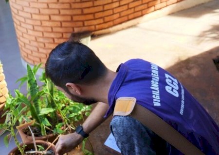 ESTADO CONFIRMA MAIS DUAS VÍTIMAS E NÚMERO DE MORTES POR DENGUE EM MS SOBE PARA 20