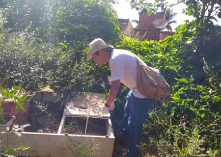 PREFEITURA REFORÇA ALERTA DE COMBATE À DENGUE COM CHUVAS CONSTANTES EM DOURADOS