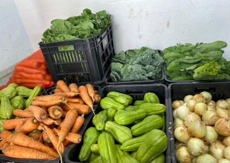 PREFEITURA DE DOURADOS LANÇA EDITAL PARA COMPRA DE ALIMENTOS DA AGRICULTURA FAMILIAR PARA A MERENDA ESCOLAR