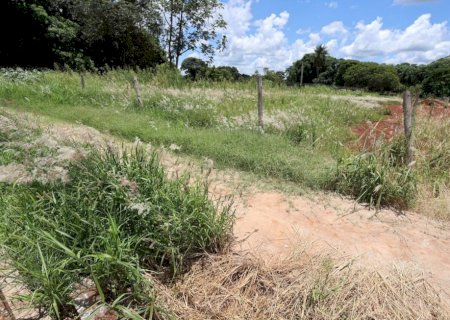 PREFEITURA DE DOURADOS COMEÇA A AUTUAR PROPRIETÁRIOS DE TERRENOS COM MATO E SUJEIRA NO DIA 5