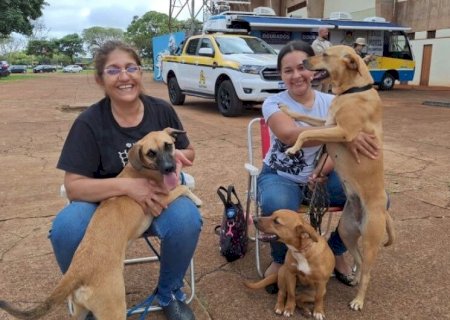 CARAVANA DA CASTRAÇÃO INICIA OS TRABALHOS DE 2026 EM ELDORADO