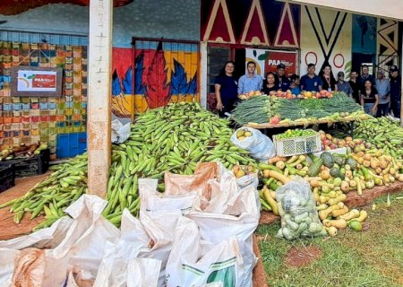 PREFEITURA DE DOURADOS INICIA ANO COM QUASE 10 TONELADAS DE ALIMENTOS DO PARA INDÍGENA DISTRIBUÍDOS