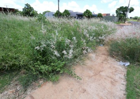 PREFEITURA ALERTA QUE PRAZO PARA ROÇADA E LIMPEZA DE TERRENOS BALDIOS ESTÁ CORRENDO