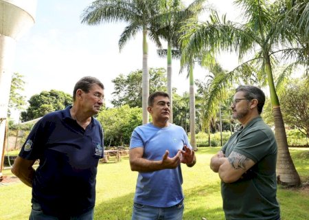 VIVEIRO MUNICIPAL FORTALECE PLANO DE ARBORIZAÇÃO E GARANTE REPLANTIO DE ÁRVORES EM DOURADOS