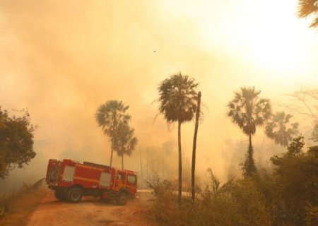 EL NIÑO ELEVA RISCO DE FOGO NO PANTANAL E BOMBEIROS ESTÃO EM ALERTA