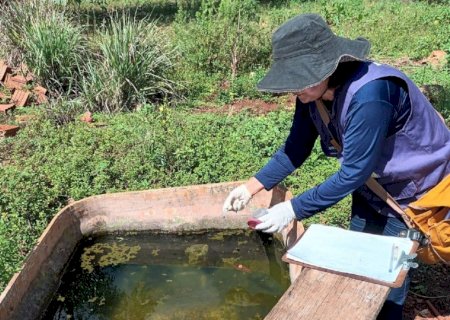 PREFEITURA REGISTRA QUARTA MORTE POR CHIKUNGUNYA NAS ALDEIAS E ALERTA PARA O AVANÇO DA DOENÇA
