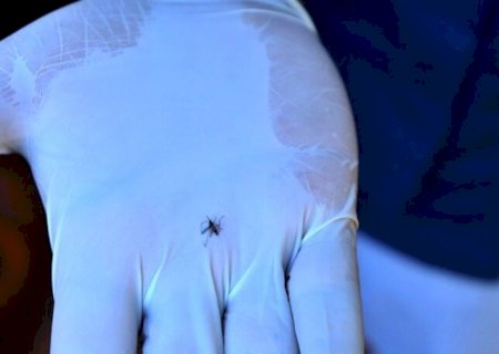 SITUAÇÃO DE EMERGÊNCIA LEVA DOURADOS A PUBLICAR NOVO DECRETO NO COMBATE À CHIKUNGUNYA