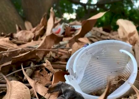 8 DE CADA 1.000 HABITANTES TEM CHIKUNGUNYA EM DOURADOS