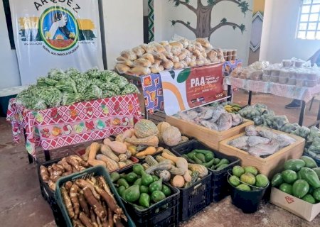 PREFEITURA DE DOURADOS JÁ ENTREGOU 76 TONELADAS DE ALIMENTOS A INDÍGENAS E QUILOMBOLAS