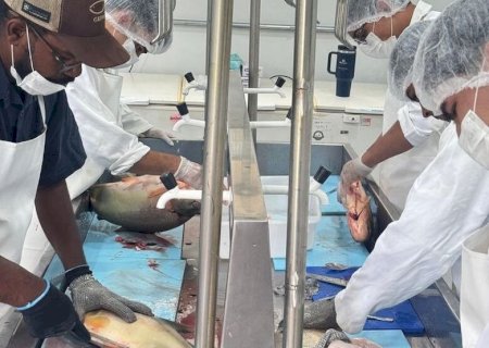 FESTA DA PÁSCOA DEVE OFERECER 15 TONELADAS DE PESCADO