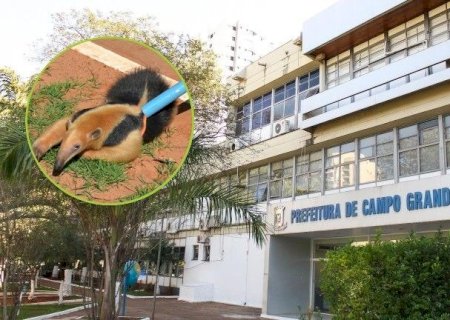 IDOSO DE CAARAPÓ VENCE AÇÃO, SEGUE COM ‘NOME SUJO’ E COBRA R$ 30 MIL DA PREFEITURA DA CAPITAL