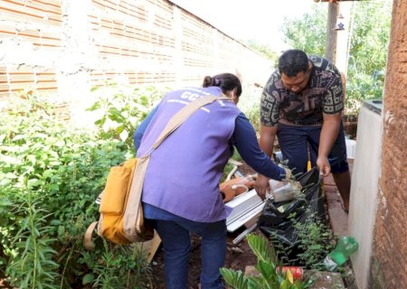 CHIKUNGUNYA LEVA MARÇAL A DECRETAR SITUAÇÃO DE CALAMIDADE EM SAÚDE PÚBLICA