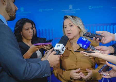 ASSEMBLEIA RECONHECE CALAMIDADE PÚBLICA E REFORÇA URGÊNCIA NO ENFRENTAMENTO À EPIDEMIA DE CHIKUNGUNYA EM DOURADOS