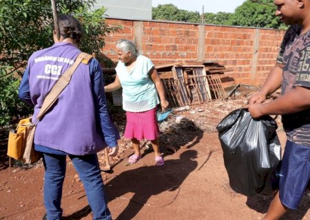 PREFEITURA VISTORIA MAIS 1.450 IMÓVEIS E ENCONTRA 12 FOCOS DO MOSQUITO AEDES AEGYPTI