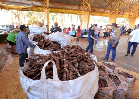 DOURADOS RECEBE R$ 500 MIL DO MDS E CRIA 1º PAA MUNICIPAL INDÍGENA DO BRASIL