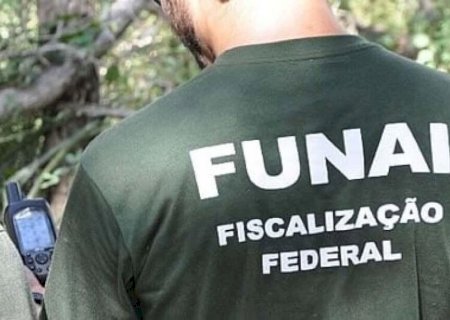 FUNAI NOTIFICA QUASE 200 PROPRIEDADES EM NOVA ETAPA DE DEMARCAÇÃO EM MS
