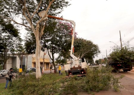 PREFEITURA APROVEITA FERIADO PARA REFORÇAR PODA DE ÁRVORES E RETIRADA DE CABOS NA WEIMAR TORRES
