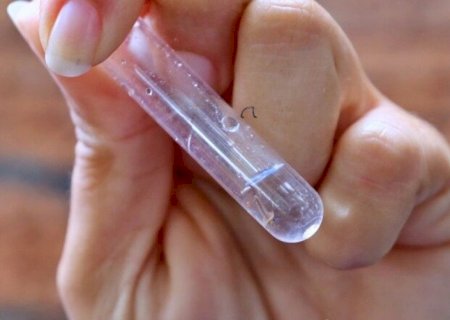 COM MAIS UM CASO CONFIRMADO, SOBE PARA 14 NÚMERO DE MORTES PELA CHIKUNGUNYA EM DOURADOS