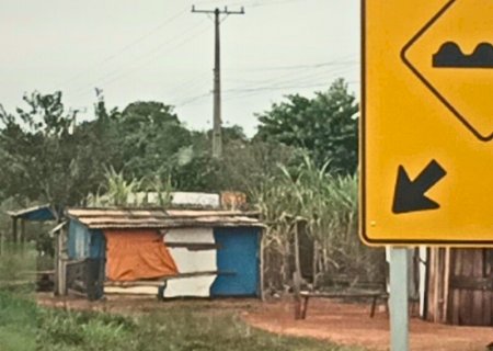 MINISTÉRIO PÚBLICO INVESTIGA BARRACOS E ROÇAS IMPROVISADAS ENTRE IVINHEMA E ANGÉLICA