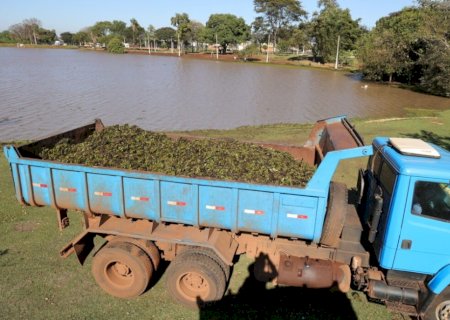 PREFEITURA CONCLUI LIMPEZA DO LAGO DO ANTENOR MARTINS E INICIA FORÇA-TAREFA NO REGO D’ÁGUA