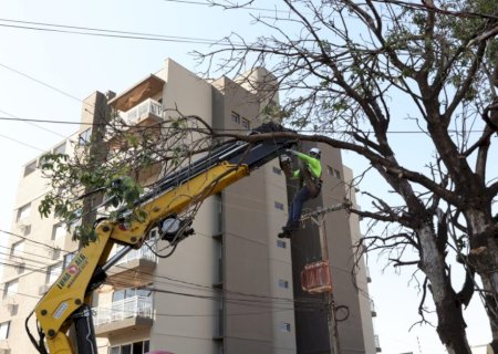 TRABALHO PREVENTIVO DA PREFEITURA CONTRIBUI PARA QUE DOURADOS NÃO REGISTRE QUEDAS DE ÁRVORES DURANTE TEMPORAL